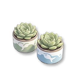 Garden Court - Canned Succulent