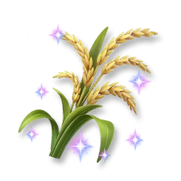 Shining Rice