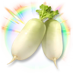 Huge Colorful Moondew Radish