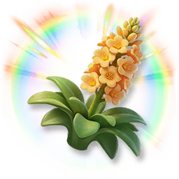 Huge Colorful Agave