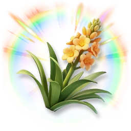 Colorful Agave