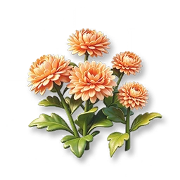 Orange Marigold