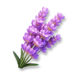 Huge Lavender