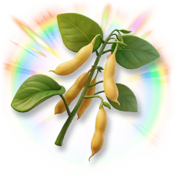 Colorful Soybean