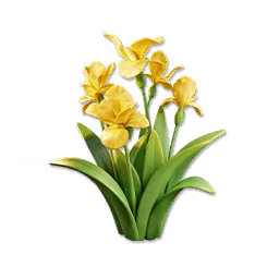 Yellow Iris