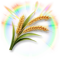 Colorful Wheat