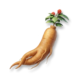 Huge Ginseng