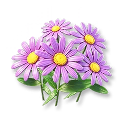 Purple Daisy