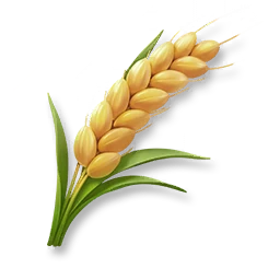 Huge Wheat