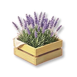 Garden Court - Lavender Nursery