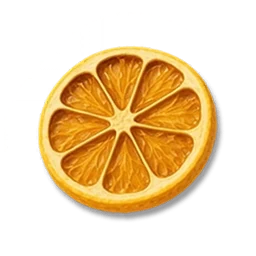 Dried Lemon Slices