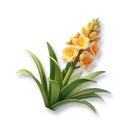 Agave
