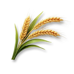 Wheat