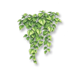 Verdant Boston Ivy II