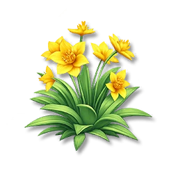 Lily