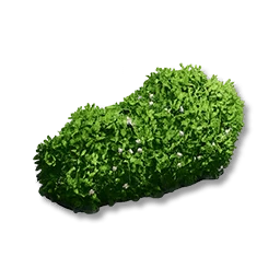 Small-Leaf Shrubs: I
