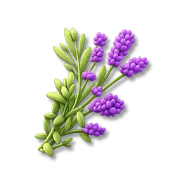 Lavender