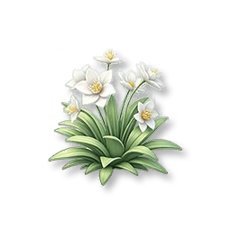 White Lily