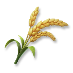 Huge Rice
