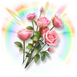 Colorful Rose