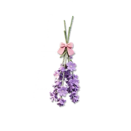 Dried Lavender Bouquet II