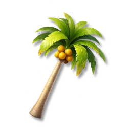 Coconut Tree