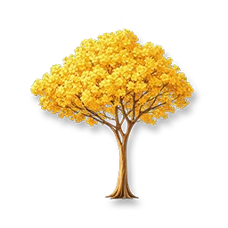 Golden Trumpet Tree