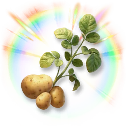 Colorful Potato