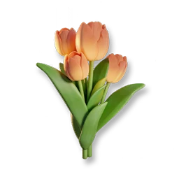 Orange Tulip