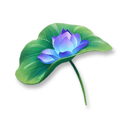 Sunshade Water Lily Pack