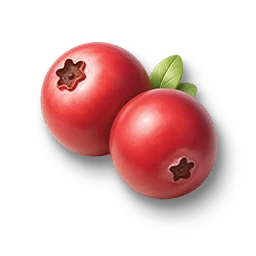 Huge Cranberry