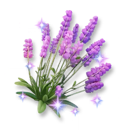 Shining Lavender