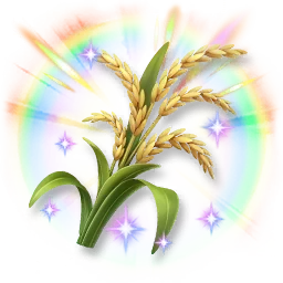 Colorful Shining Rice