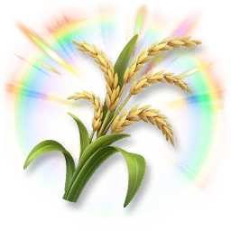 Sparkling Rice