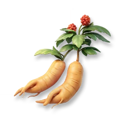 Ginseng
