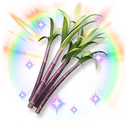 Colorful Shining Sugarcane
