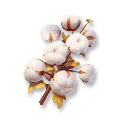 Cotton