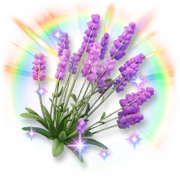 Colorful Shining Lavender