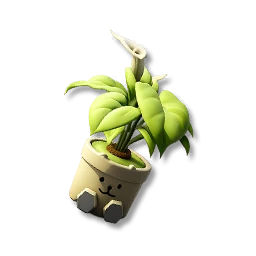 Calla Lily