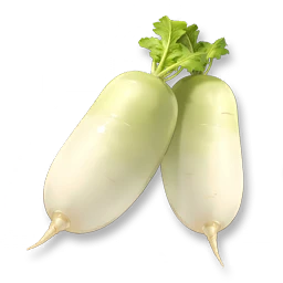 Huge Moondew Radish