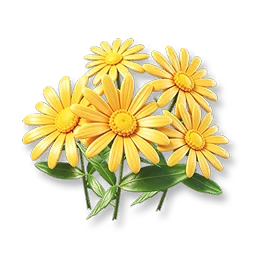 Golden Daisy