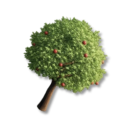 Apple Tree