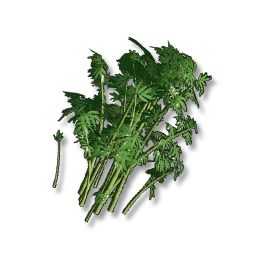 Emerald Bamboo