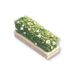 Box Hedge