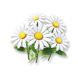 Daisy