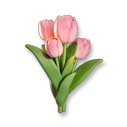 Pink Tulip