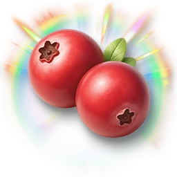 Huge Colorful Cranberry