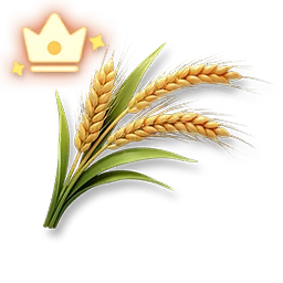 Premium Wheat