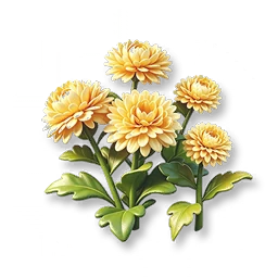 Golden Marigold