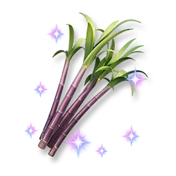 Shining Sugarcane